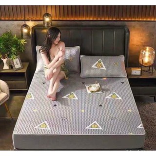 Chiếu điều hoà cao su non 2d tặng kèm 2 vỏ gối