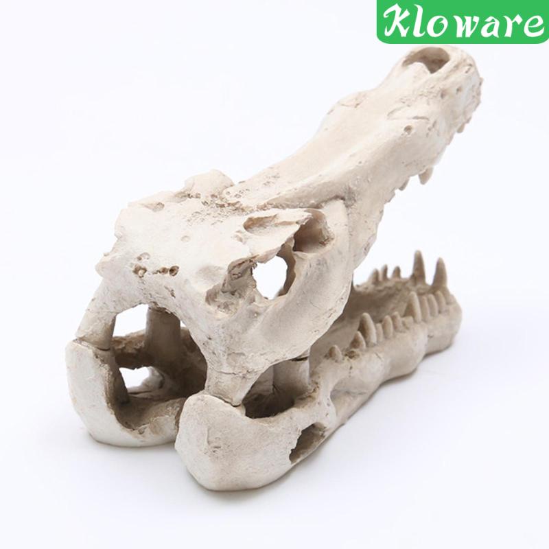 Tượng Cá Sấu Trốn Tìm Trong Bể Nuôi Bò Sát