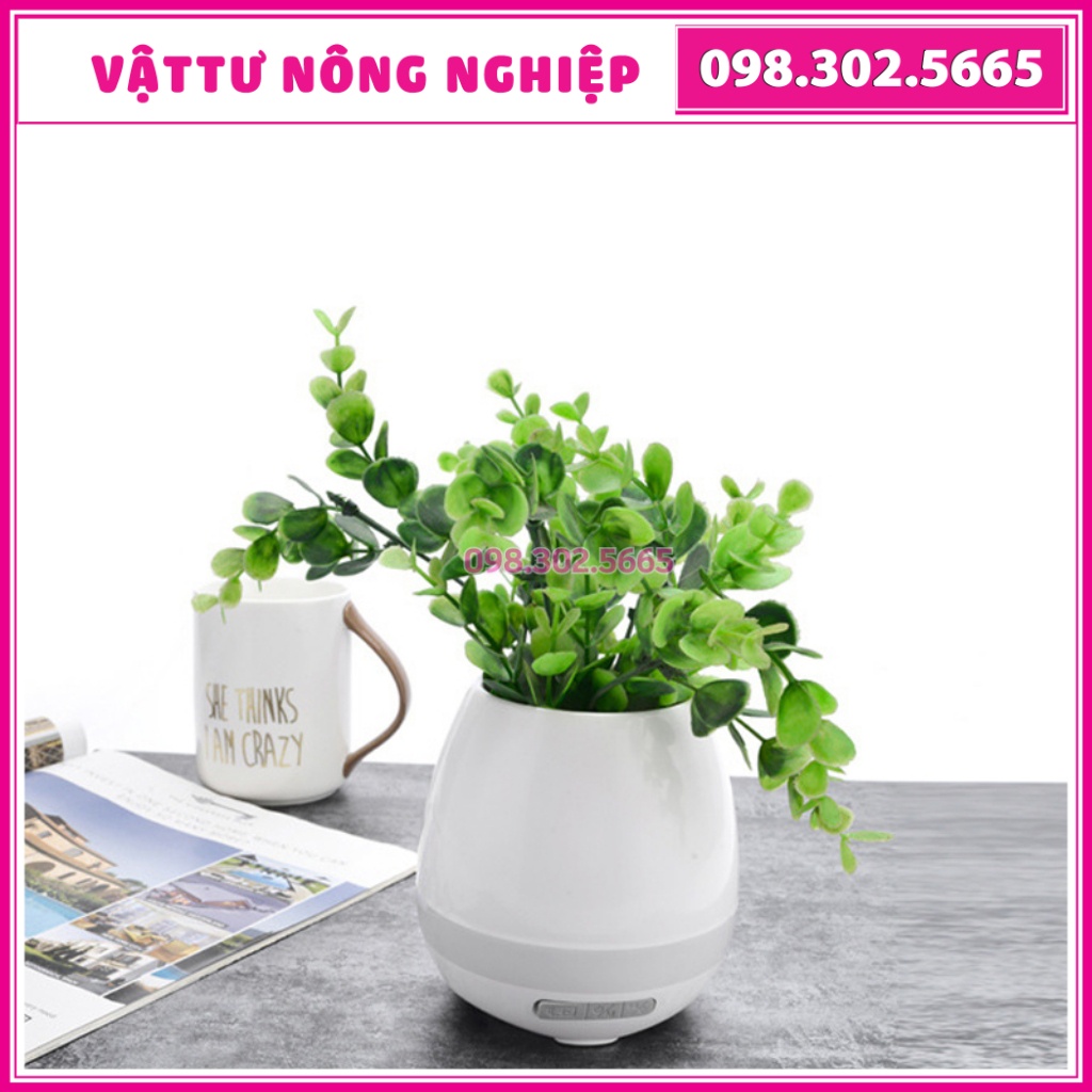 Chậu Cây Trồng Cây Phát Nhạc – loa Bluetooth có đèn led trồng cây