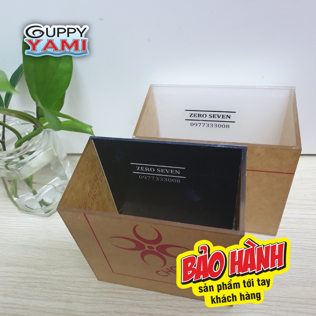 Hồ Show cá Guppy mica siêu trong - Bể Show cá Betta Acrylic - Keo Show cá Guppy, in tên theo yêu cầu giá xưởng 12x7x12