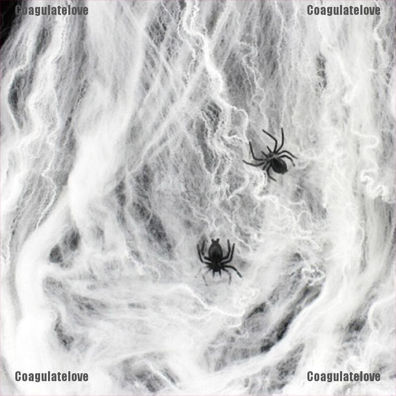 Mạng Nhện Trang Trí Halloween