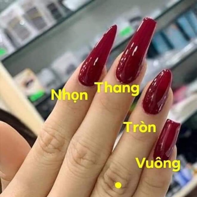 Móng úp nhám form thang, form tròn ,form nhọn,form vuông