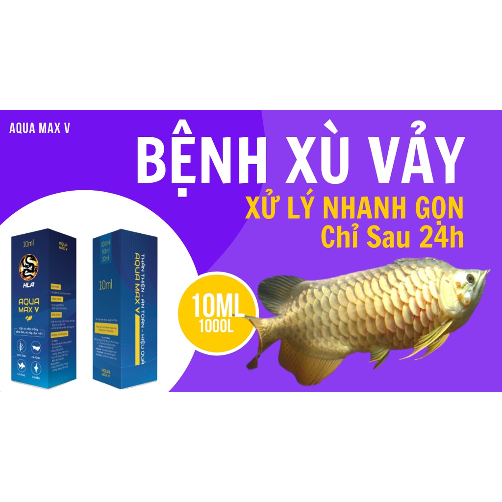 AQUA MAX V - Aquamax 5 Ngừa nấm trắng, nấm đen, xù vảy, đục mắt cho cá cảnh