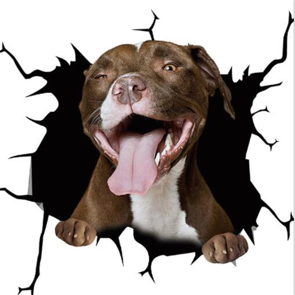 Miếng Dán Trang Trí Cửa Sổ Xe Hơi Bằng Chất Liệu PVC Chống Thấm Nước