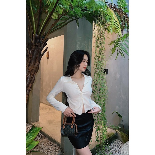 COLOR SHIRT▪️ÁO POLO NÚT TAY DÀI