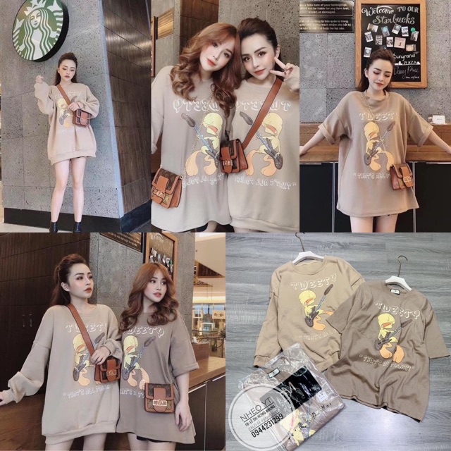 BÁN SỈ ÁO NỈ IN VỊT MÀU BE CHO NỮ