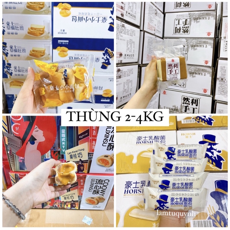 THÙNG BÁNH SỮA CHUA/PHÔ MAI VIÊN HORSH/GONGTO/TRỨNG CHẢY🍦