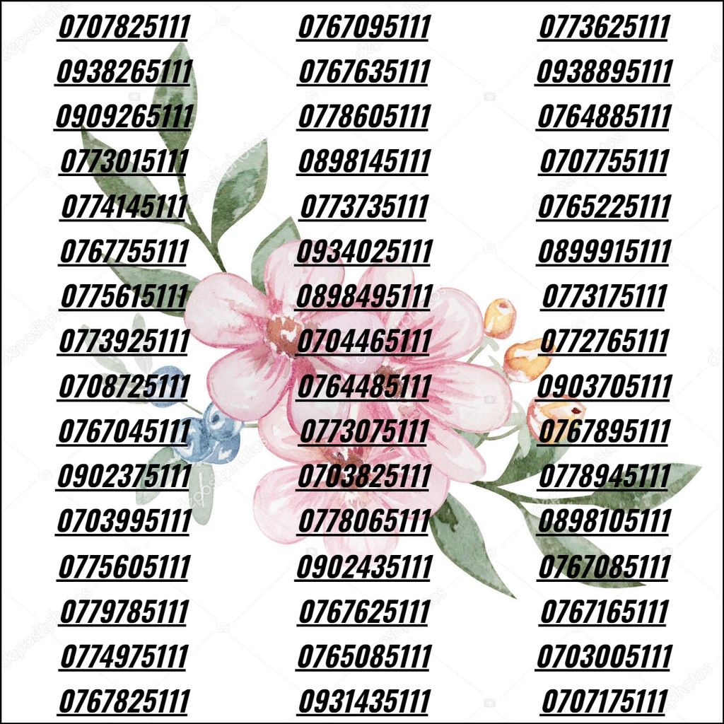 Sim đẹp tam hoa đặc biệt tiến lên sim 3G/4G/5G giá rẻ phong tiến khuyến mãi vĩnh viễn cho người làm ăn