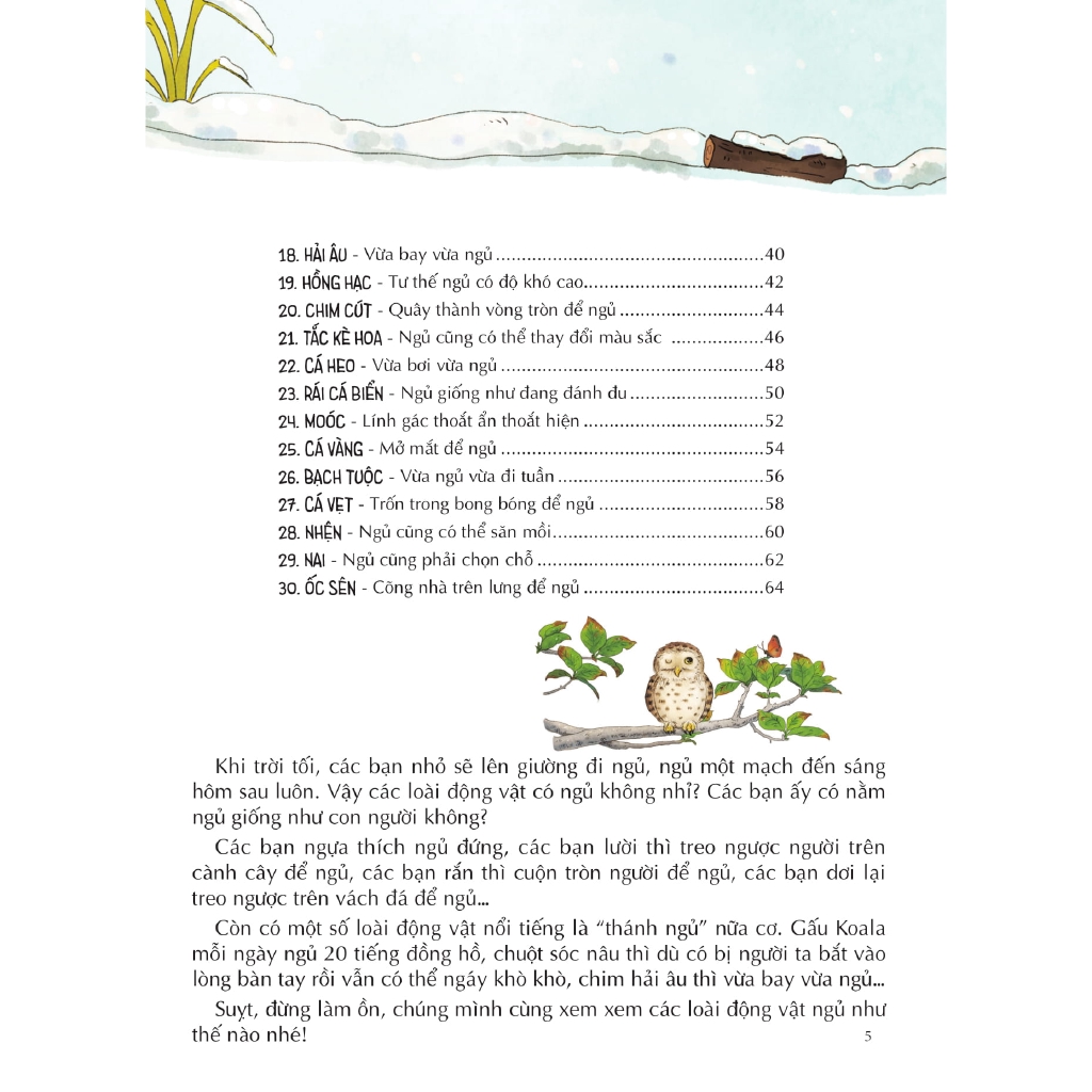 Sách - Bí Mật Muôn Loài - “Thánh Ngủ” Là Ai?