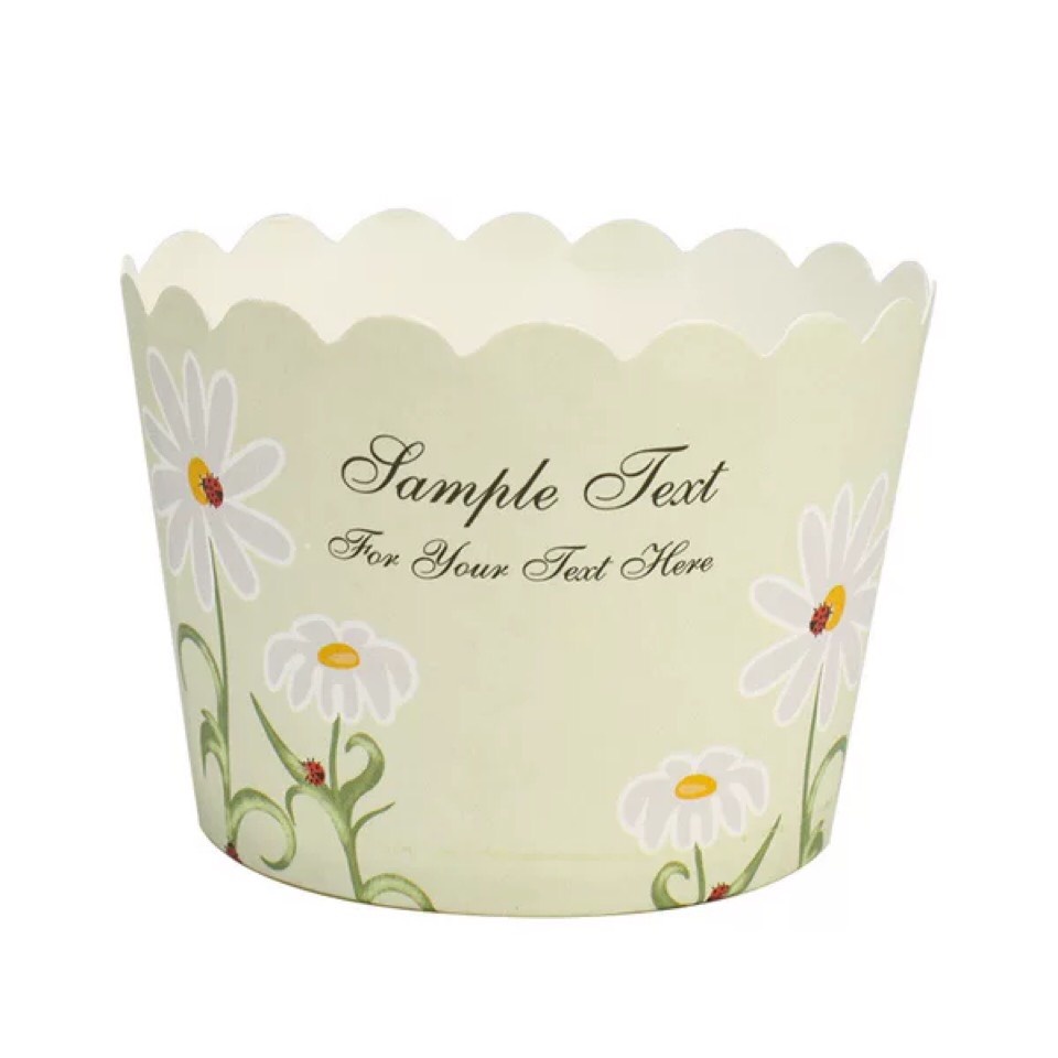 SET 50 CUP ĐỰNG CUPCAKE GIẤY CÚC HỌA MI MÀU XANH