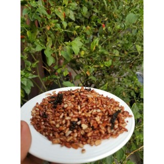 100gr gạo lức rong biển