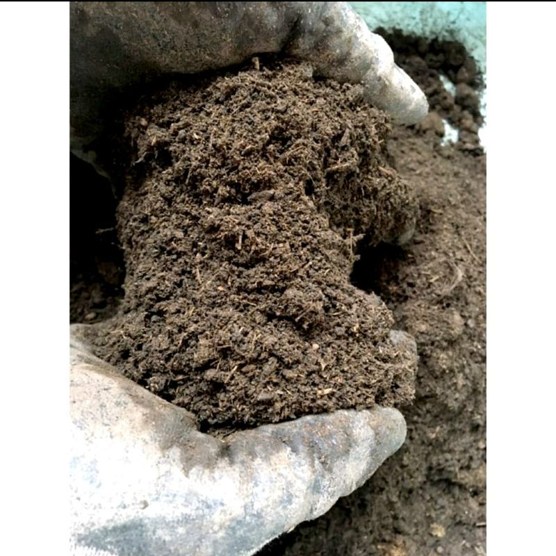 Phân Bò Tribat  Đã Qua Xử Lý Loại Tốt Nhất