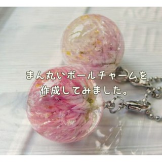 Hoa khô cúc Amaratoide Nhật Bản dùng trong sáng tạo resin, trang trí nến