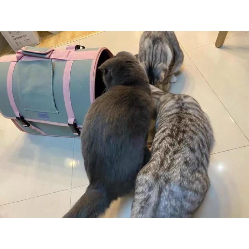 [TẶNG QUÀ] Balo túi vận chuyển cho mèo mẫu đặc biệt