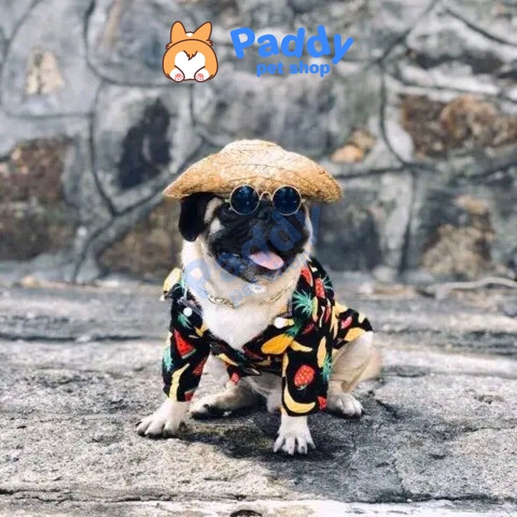 Áo Cho Chó Mèo Sơ Mi Trái Cây