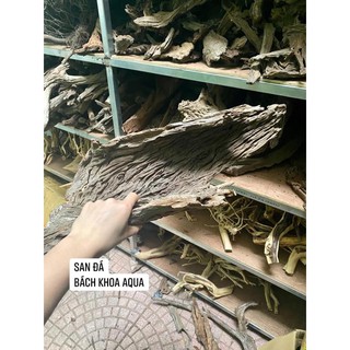 Lũa san đá miếng và cành