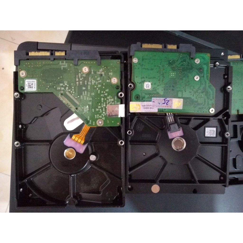 Ổ cứng máy bàn Western, Seagate dung lượng 500GB, 1T | BigBuy360 - bigbuy360.vn