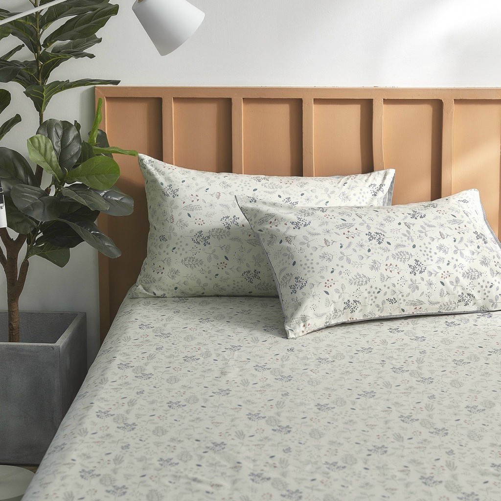 TH SET ga gối cotton 100% nguyên chất (1 ga 2 vỏ gối)