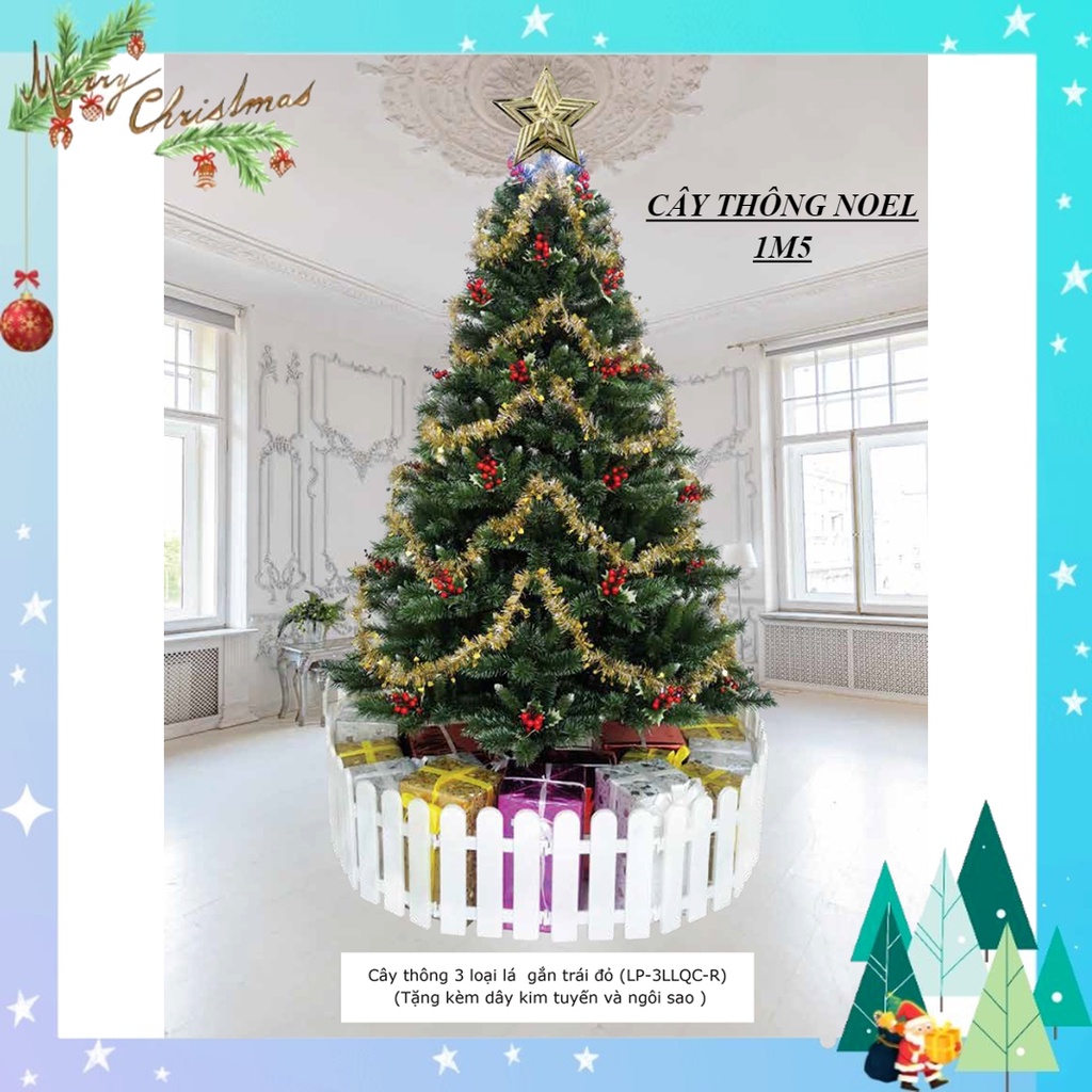 Cây thông noel 3 loại lá 1m5, cây thông noel gắn trái đỏ 1m5 tán lá dày trang trí giáng sinh trong nhà ngoài trời