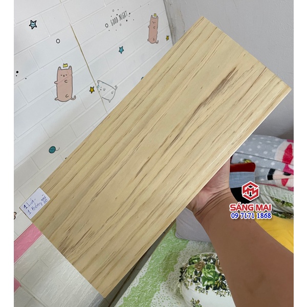 Sơn lót gỗ - Hộp 1kg - Sơn lau gỗ gốc nước: dễ sử dụng, không độc hại, an toàn cho sức khoẻ