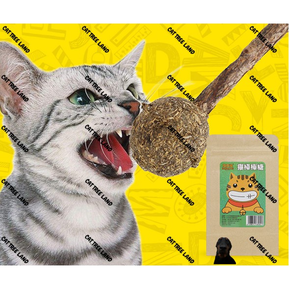 BÓNG CATNIP, CÂY GỖ BẠC HÀ CHO MÈO GẶM SẠCH RĂNG (SNACK THƯỞNG, THỨC ĂN MÈO TIÊU BÚI LÔNG HAIRBALL) - ĐỒ CHƠI CHÓ MÈO