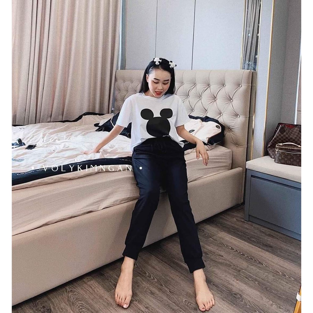 Đồ Bộ Thể Thao Cao Cấp, Thun Cotton 100%, 45kg đến 80kg vừa, mẫu P019 | BigBuy360 - bigbuy360.vn