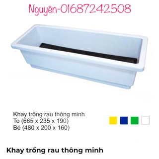Khay trồng rau thông minh loại to
