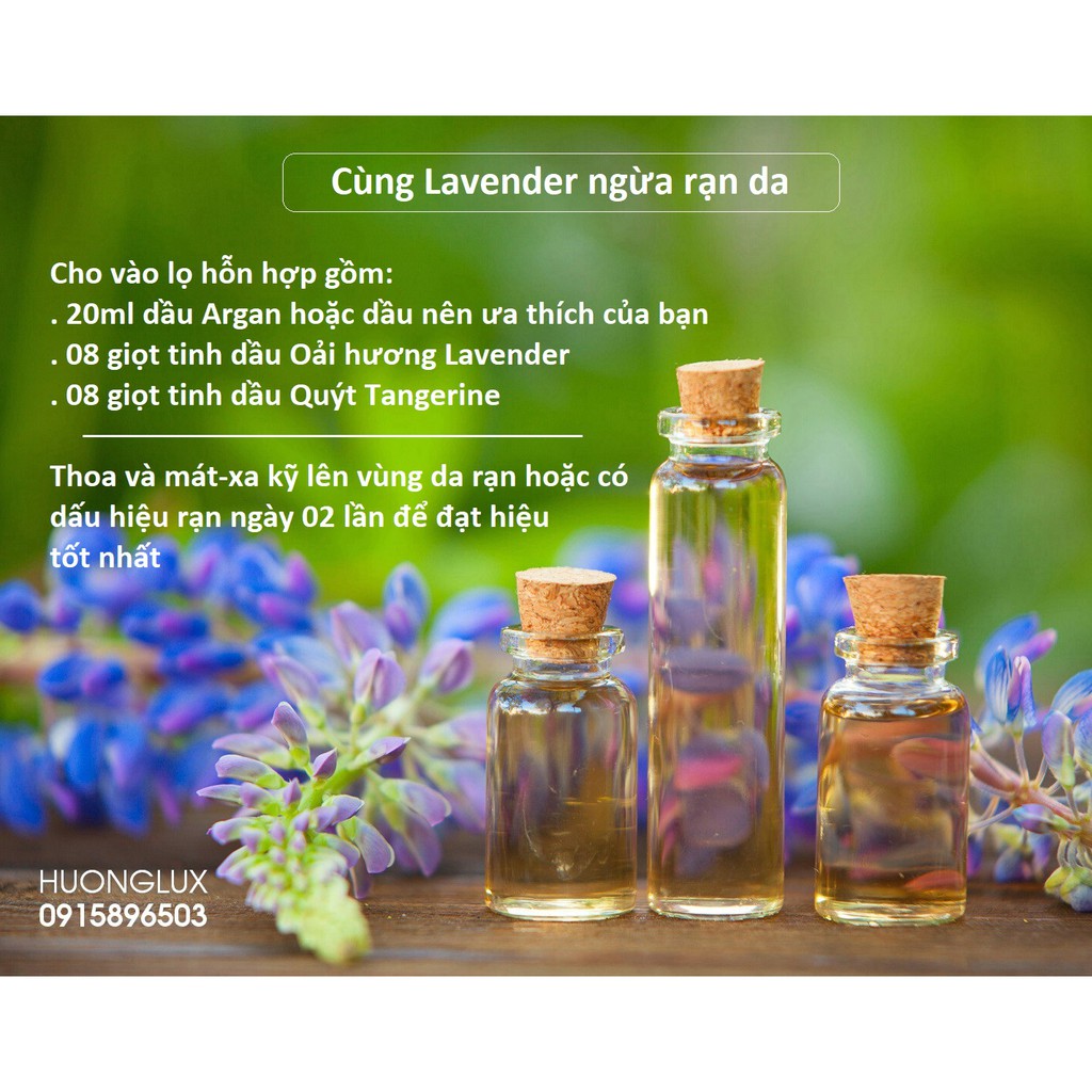 Tinh dầu hoa oải hương Lavender Essential Oil