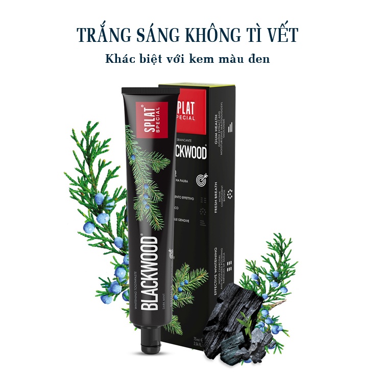 Kem Đánh Răng Than Hoạt Tính SPLAT Blackwood Làm Trắng Răng Hiệu Quả