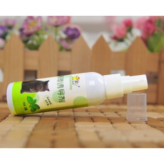 CATNIP CHO MÈO DẠNG XỊT