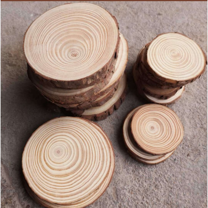 Miếng gỗ thông decor mộc mạc, lót ly cốc, nến- Phụ kiện làm đồ handmade, đạo cụ chụp ảnh đẹp mắt