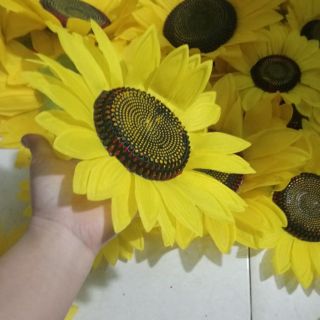 Hoa hướng dương múa cầm tay, 30k- 40k- 50k/cặp