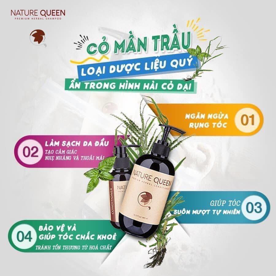 Dầu Gội Thảo Dược Nature Queen Xuất Khẩu