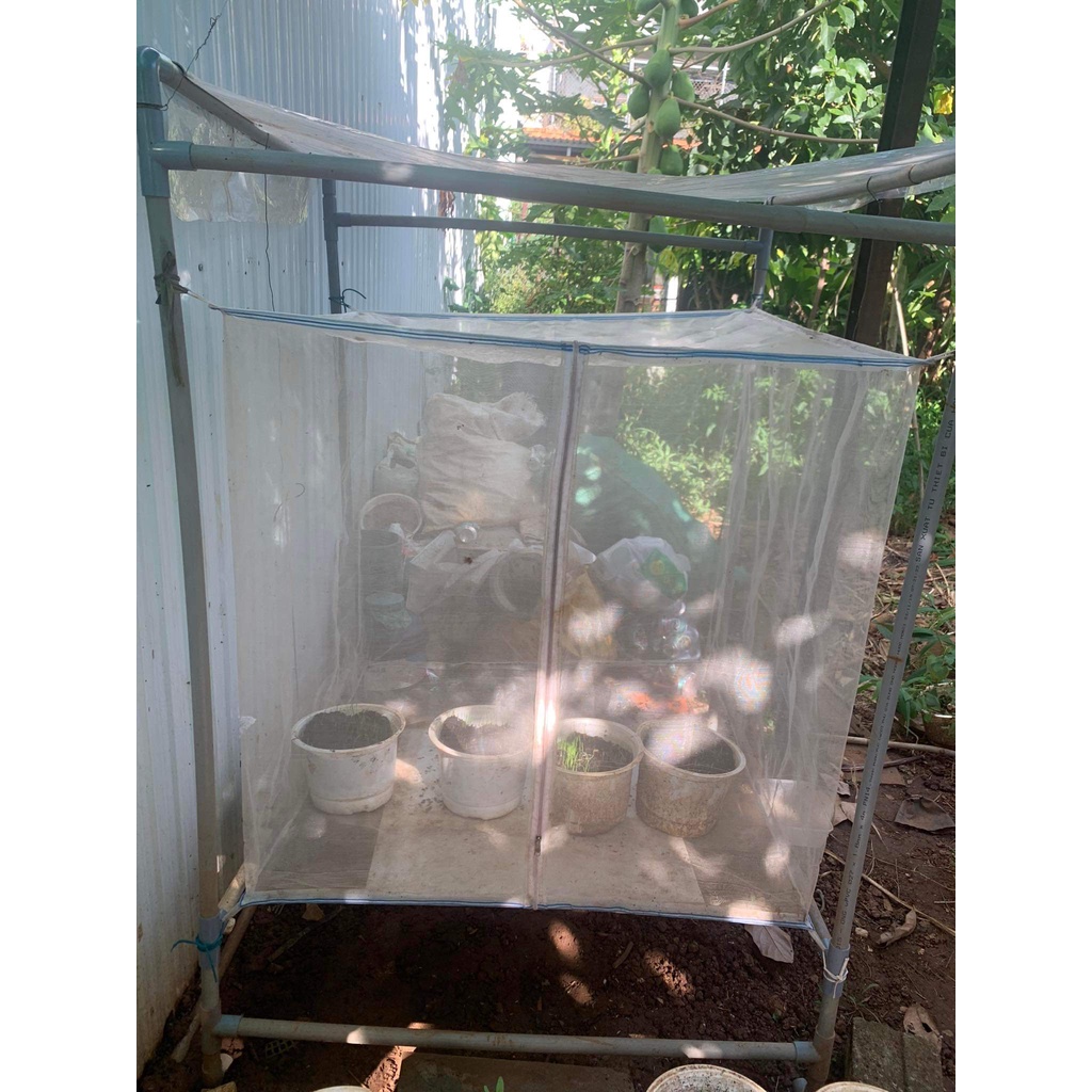 Lưới nuôi châu chấu , ruồi lính đen. 1x1x1m. Lưới Thái xanh 1mm