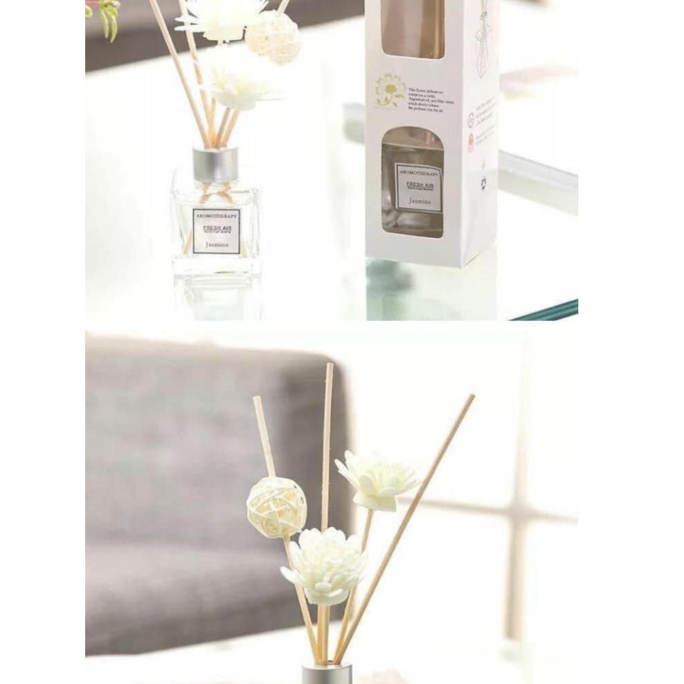 Tinh dầu thơm phòng Aromatherapy