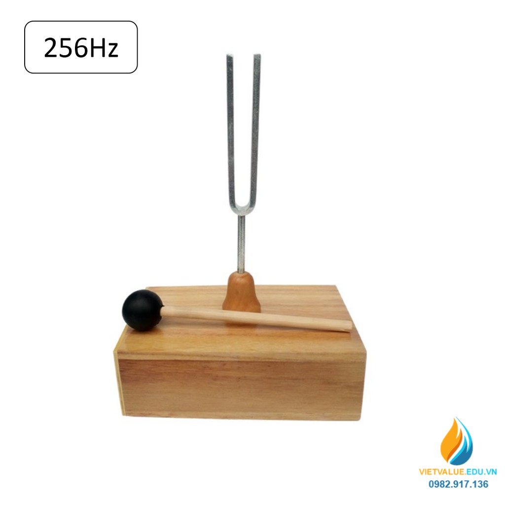 Âm thoa dao động tạo tần số 256Hz, âm thoa vật lý gồm búa cao su đi kèm