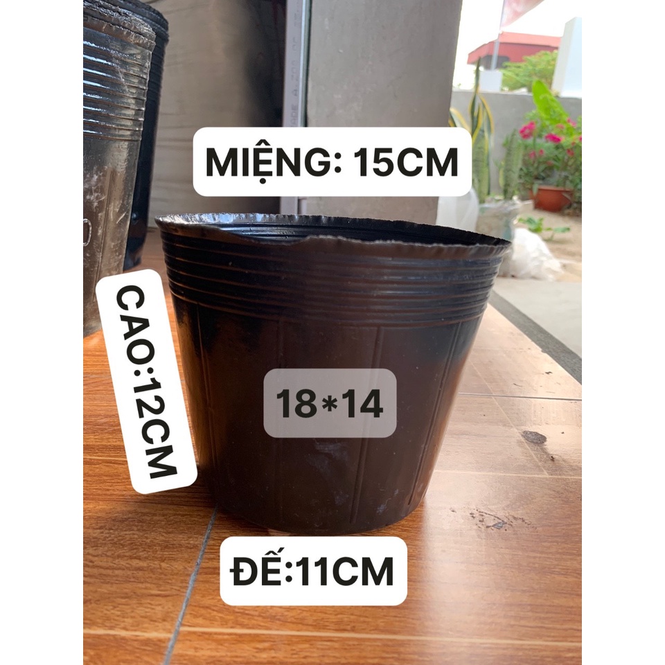 BẦU ƯƠM CÂY 18*14 DÀY VÀ MỎNG ( DỊCH TRUYỀN CHO CÂY, KÍCH RỄ , MẦM CÂY XANH LÁ, LƯỚI CHE NẮNG...)