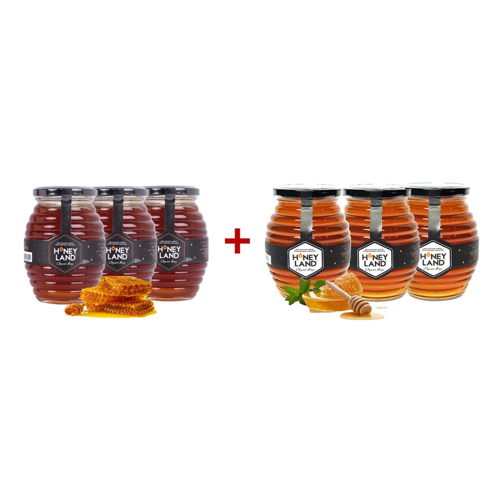 3 HŨ MẬT ONG HOA XUYẾN CHI HONEY LAND (500G/HŨ) + 3 hũ mật ong hoa rừng Honey Land (500g/hũ)