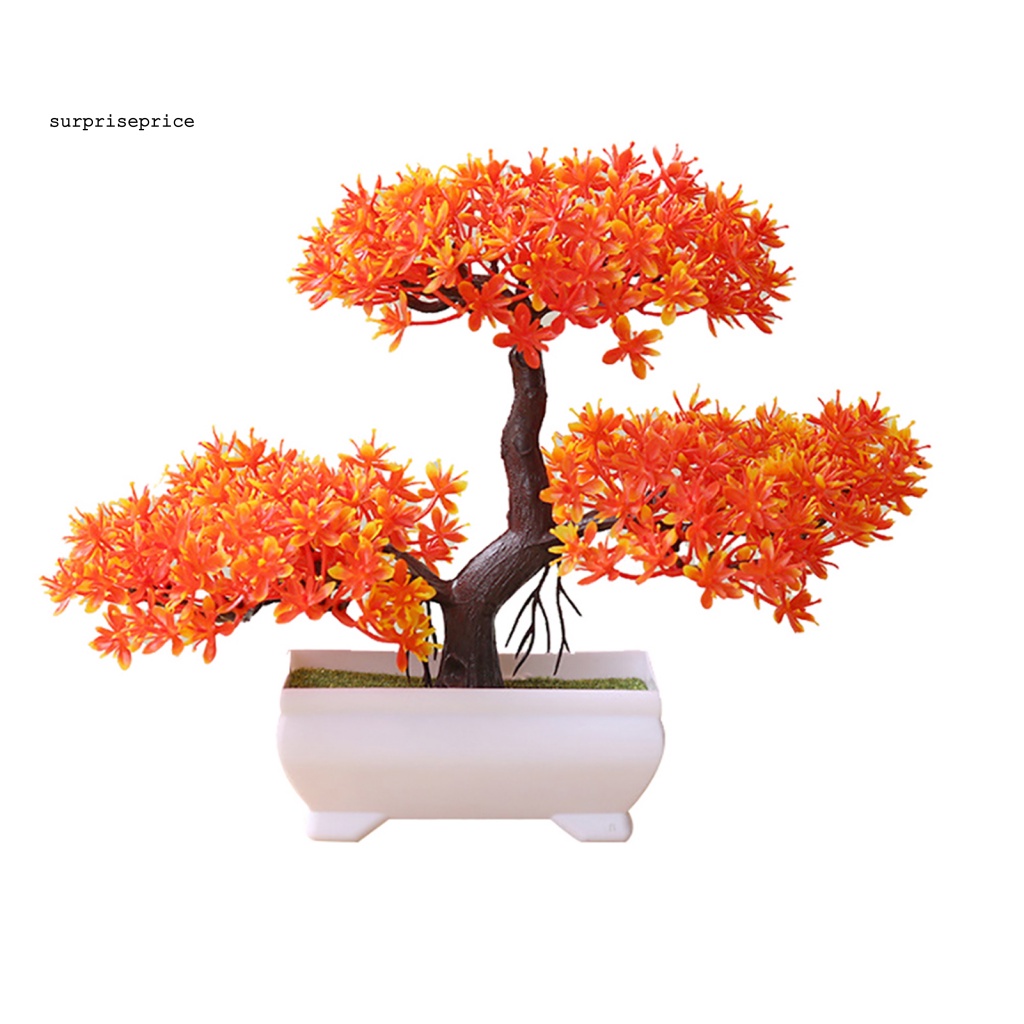 Chậu Cây Bonsai Giả Trang Trí