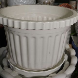 CHẬU NHỰA TRÒN RĂNG CƯA CAO 25CM RỘNG 35CM TRỒNG CÂY VÀ HOA KIỂNG.