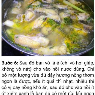 Lá é trắng Phú Yên ship TpHcm