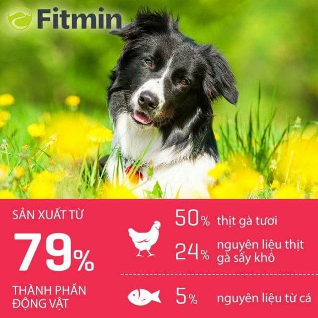 FIMIN DOG FOOD MEDIUM PUPPY 3kg