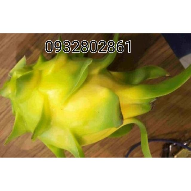 Thanh Long vỏ vàng