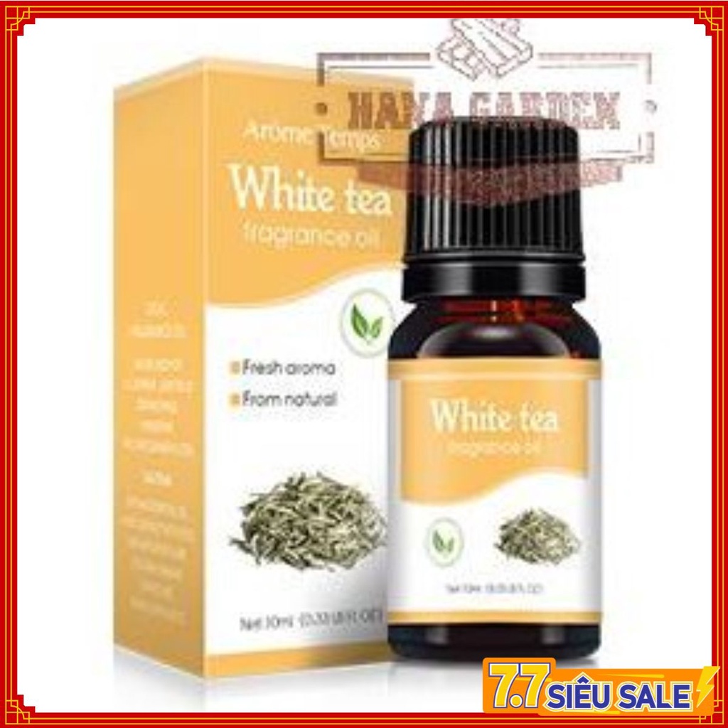 Tinh dầu Trà Trắng | White Tea Oil |THIÊN NHIÊN Tinh dầu thiên nhiên nhập khẩu. Dung tích 10 ml