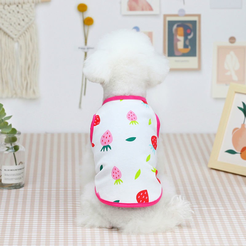 Quần áo dành cho chó mùa xuân và hè vest bông Teddy con nhỏ Bichon sơ mi sọc hai chân mỏng