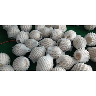 Dừa xiêm trọc
