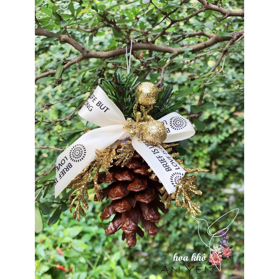 TRÁI THÔNG TRANG TRÍ NOEL