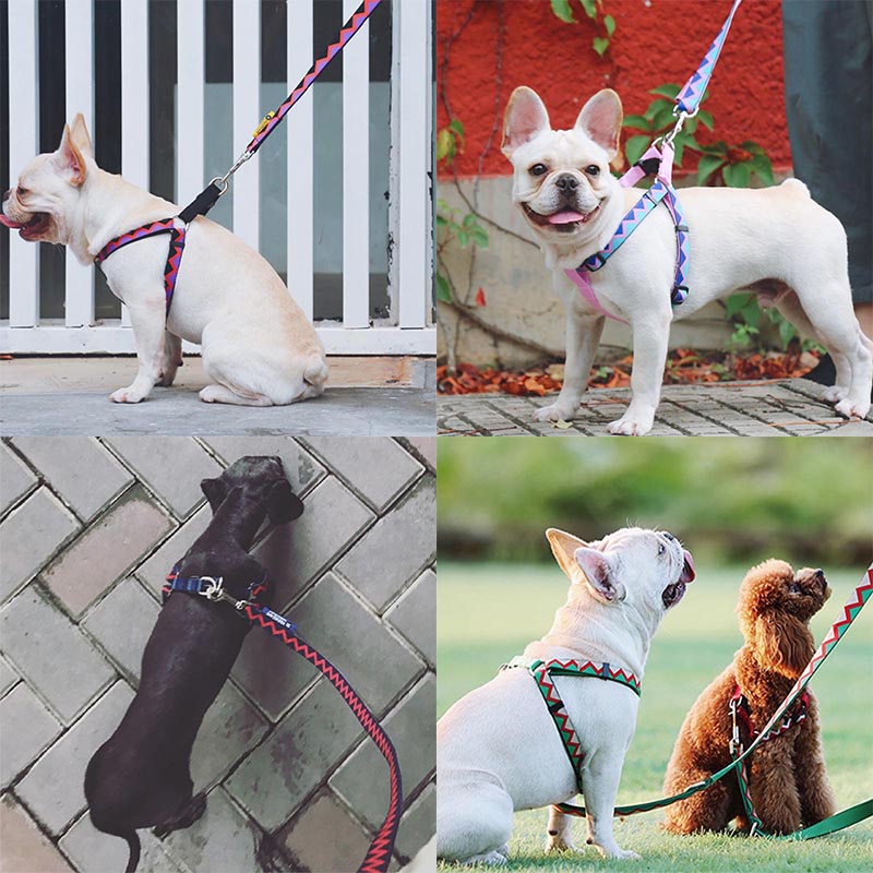 HamshMoc Bộ Dây Dắt Thú Cưng Đi Dạo Bằng Nylon Mềm Bền Có Thể Điều Chỉnh
