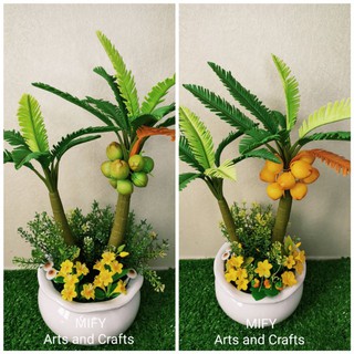 Chậu cây dừa đất sét size trung để bàn trang trí