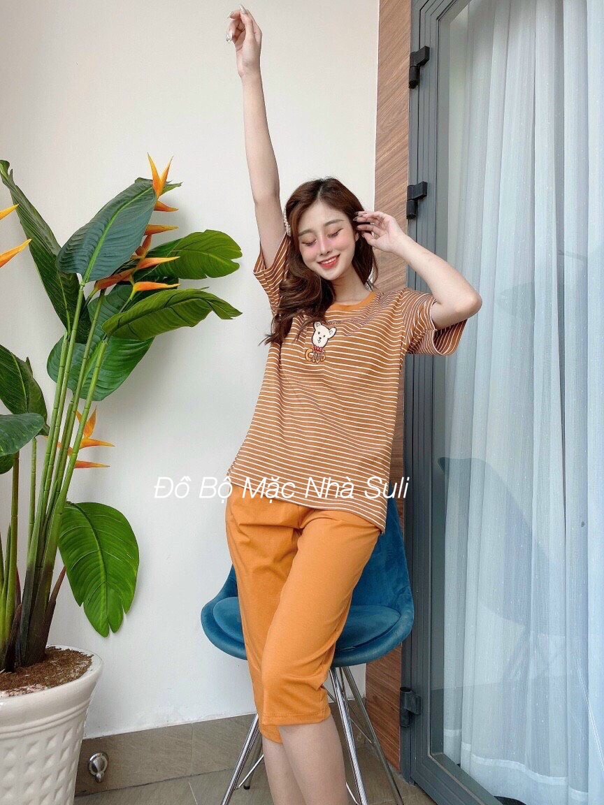 Đồ Mặc Nhà Lỡ Thun Cotton sọc in hình Gấu - Bền, Đẹp, Dễ Thương, Chất liệu cao cấp